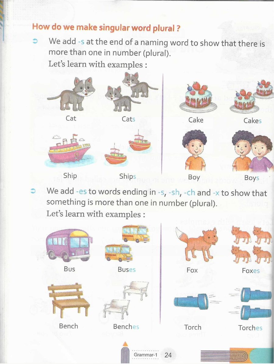 One and many - cat/cats and ship/ships for the plain -s rule, then bus/buses, fox/foxes, bench/benches and torch/torches for the -es rule, with the ending printed in colour.